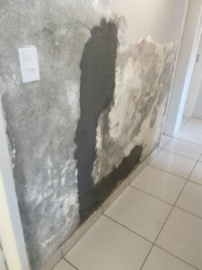 WhatsApp Image 2025-08-25 at 11.02.01 AM (1)